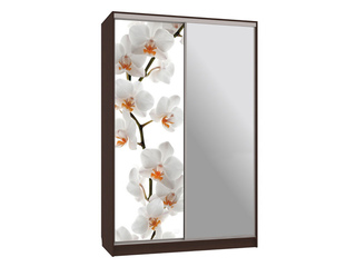 Фото Шкаф-купе Рио 9.83 (полки слева). Шкафы-купе Рио.