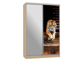 Фото Шкаф-купе Рио 9.87 (полки слева). Шкафы-купе Рио.