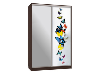 Фото Шкаф-купе Рио 9.88 (полки слева). Шкафы-купе Рио.