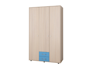 Фото Дельта-3.03 шкаф для одежды. Шкафы и стеллажи из детской Дельта.