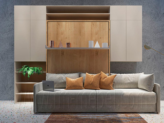 Фото Гостиная Лайт с диваном и подъемной кроватью. Примеры комплектаций Смарт 1.