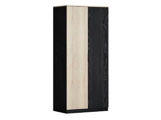 Фото Дельта Лофт шкаф 2-х дверный 13.02. Модульная детская Дельта Лофт.