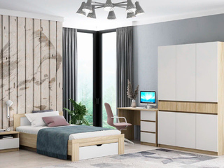 Фото Гарнитур в детскую Дельта Next 27. Гарнитур мебели Дельта Некст.