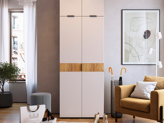 Фото Шкаф двухдверный Бери с антресолью. Модульная система для прихожей Бери.