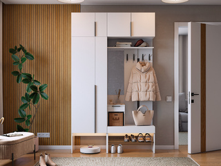 Фото Прихожая Баско К6. Пример комплектации Баско.