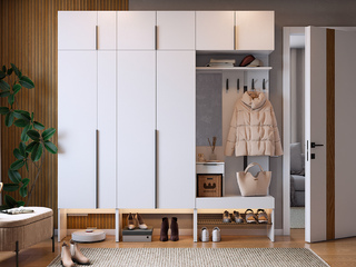 Фото Прихожая Баско К10. Пример комплектации Баско.